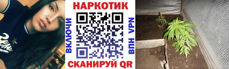 Купить наркоту Собинка ГАШИШ МАРИХУАНА Кокаин A PVP NBOMe Мефедрон