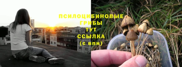 каннабис Абаза