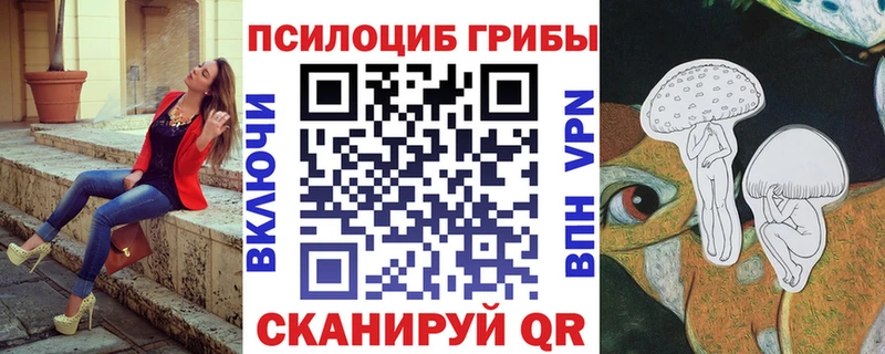 Псилоцибиновые грибы мицелий  купить закладку  Собинка 